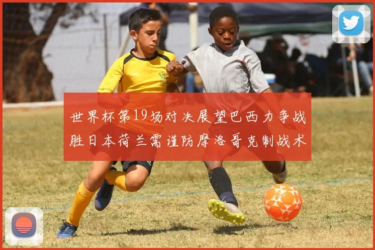 世界杯第19场对决展望巴西力争战胜日本荷兰需谨防摩洛哥克制战术