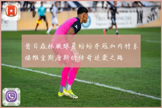 昔日森林狼球员纷纷夺冠加内特乐福维金斯唐斯的传奇逆袭之路